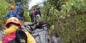Pencarian pendaki yang hilang oleh relawan di Gunung Slamet (Dokumentasi Relawan Pencarian Pendakian Gunung Slamet)