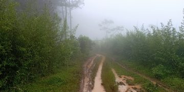 Wisata Tlogopucang Terbengkalai, Warga dan Pelaku UMKM Menginginkan Revitalisasi