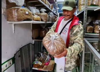 Berburu ‘Emas Hijau’ di Kaki Sumbing, Iwa K Bagikan Pengalaman ‘Tingwe’ di Temanggung