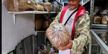 Berburu ‘Emas Hijau’ di Kaki Sumbing, Iwa K Bagikan Pengalaman ‘Tingwe’ di Temanggung