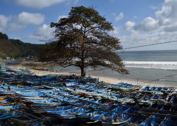 Cuaca Ekstrem Terjang Pesisir Kebumen: Nelayan Banting Setir Jadi Petani, Pertumbuhan Udang Terhambat
