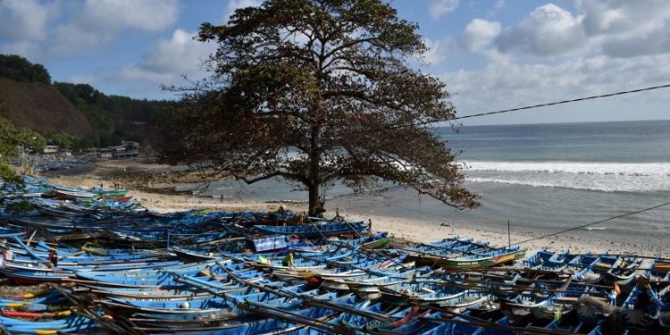 Cuaca Ekstrem Terjang Pesisir Kebumen: Nelayan Banting Setir Jadi Petani, Pertumbuhan Udang Terhambat