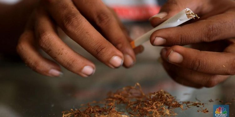 Tren Tingwe di Kalangan Milenial: Cara Anak Muda Temanggung Tetap “Ngebul” di Tengah Mahalnya Rokok