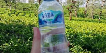 Fun Walk 2026: Ribuan Peserta Minum Aqua Di Tengah Kebun Teh Lereng Sindoro
