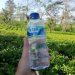 Fun Walk 2026: Ribuan Peserta Minum Aqua Di Tengah Kebun Teh Lereng Sindoro