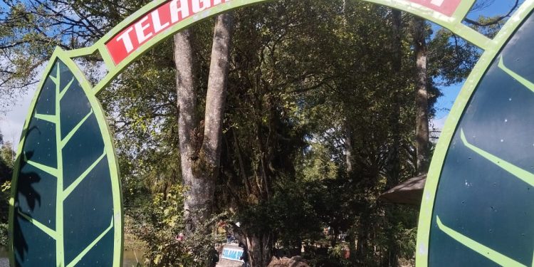 Dikelola Swadaya, Wisata Telaga Bedakah Berhasil Gerakkan Roda Ekonomi Warga Desa Tlogomulyo