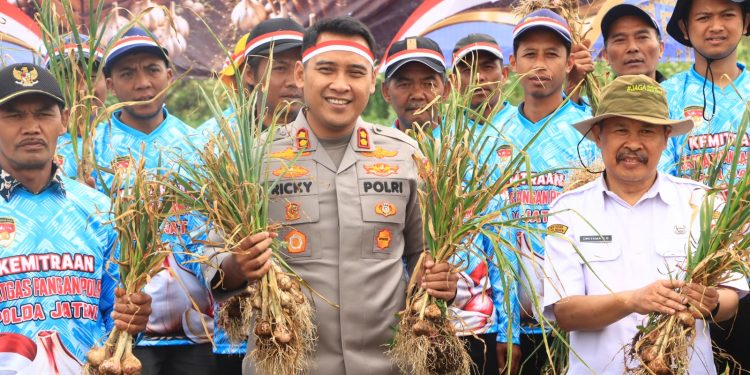 Polres Wonosobo Tanam dan Panen Bawang Putih Serentak