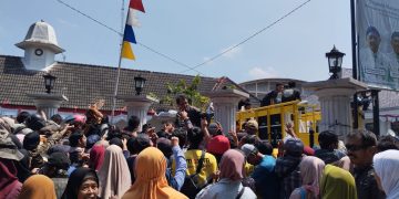 Harga Pakan Naik, Peternak Bagikan Ratusan Ayam