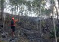 Lahan Perhutani Kalikajar Terbakar, 1,76 Hektare Lahan Hangus