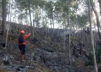 Lahan Perhutani Kalikajar Terbakar, 1,76 Hektare Lahan Hangus