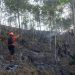 Lahan Perhutani Kalikajar Terbakar, 1,76 Hektare Lahan Hangus
