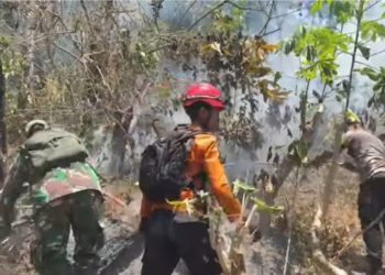 SM/Dok LAHAN TERBAKAR: Kebakaran Lahan Perhutani Hari Ke tiga(24/9) masih ditangani oleh tim gabungan