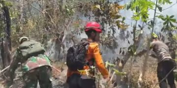 SM/Dok LAHAN TERBAKAR: Kebakaran Lahan Perhutani Hari Ke tiga(24/9) masih ditangani oleh tim gabungan