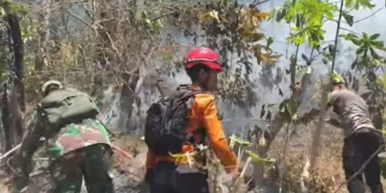 SM/Dok LAHAN TERBAKAR: Kebakaran Lahan Perhutani Hari Ke tiga(24/9) masih ditangani oleh tim gabungan