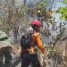 SM/Dok LAHAN TERBAKAR: Kebakaran Lahan Perhutani Hari Ke tiga(24/9) masih ditangani oleh tim gabungan
