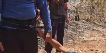 Tangkapan layar video seorang anak laki-laki yang diduga hendak membakar hutan dan telah diamankan oleh petugas damkar dan warga. (Sumber: X/@independentjawa)