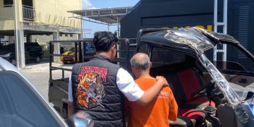 Aksi Kejar-kejaran: Mobil Maling Sapi Terguling, Pelaku Ditangkap