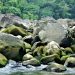 Batu Lebih Dari 1 Ton Timpa Warga Saat Cari Ikan Di Temanggung
