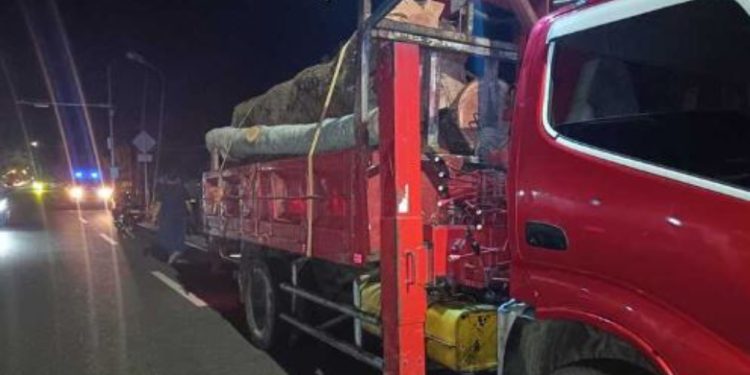 Pengendara Lansia Tewas Tabrak Truk yang Berhenti di Jalan Purworejo-Wates