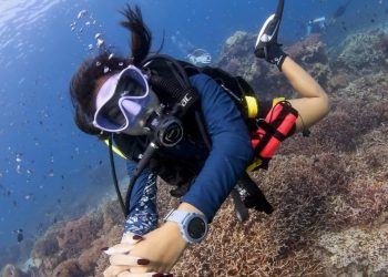 Operasi SAR Diperpanjang, Pemandu Selam Veronica Beatrix Masih Belum Ditemukan Pasca-Tenggelamnya KM Feronia